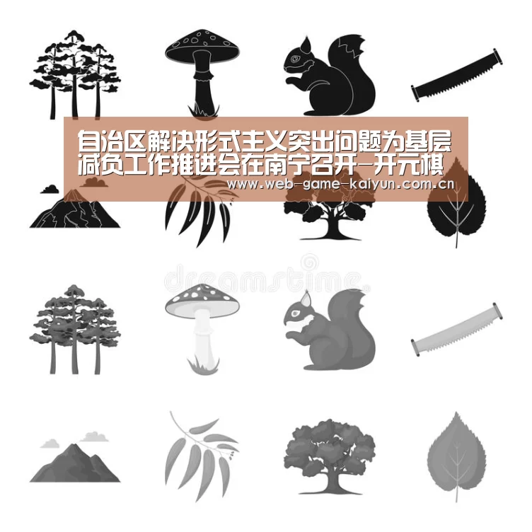 自治区解决形式主义突出问题为基层减负工作推进会在南宁召开-开元棋牌官方下载(图3) 开元棋牌