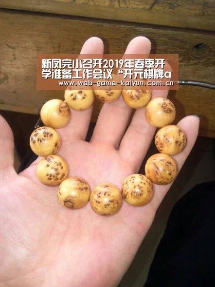 新凤完小召开2019年春季开学准备工作会议“开元棋牌app”