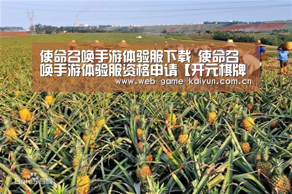 使命召唤手游体验服下载 使命召唤手游体验服资格申请【开元棋牌app】(图4) 开元棋牌官方下载